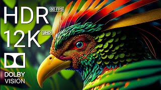 12K HDR 60FPS DOLBY VISION  COLORFUL WORLD ANIMALS  ANIMALS SOUNDS