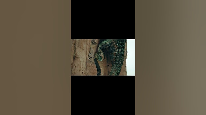 Super Crocodile fell off a cliff struggling to eat the human! | Mega Crocodile | YOUKU MONSTER MOVIE