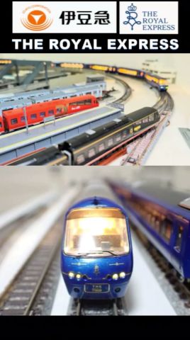 8 伊豆急行「THE ROYAL EXPRESS」〈MICROACE A-2261改〉 走らせた