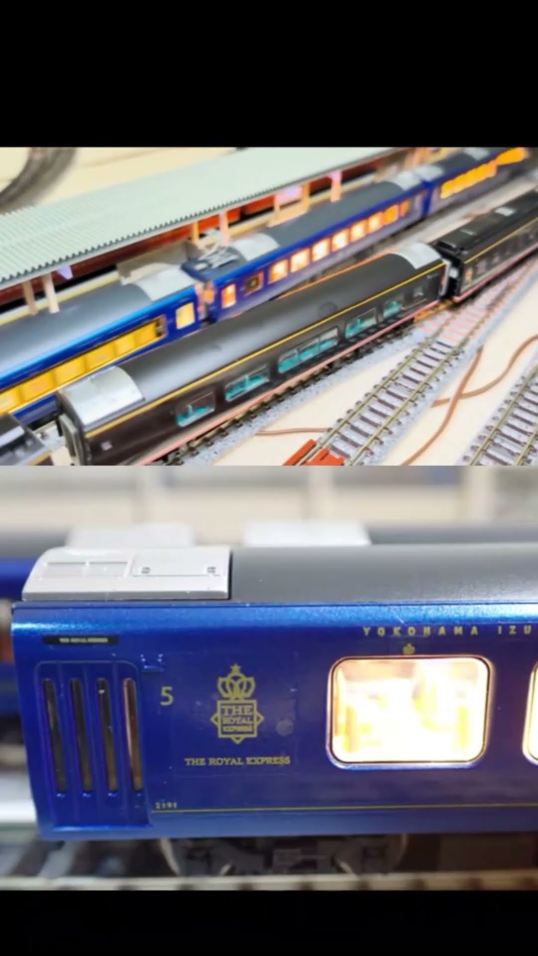 8 伊豆急行「THE ROYAL EXPRESS」〈MICROACE A-2261改〉 走らせた