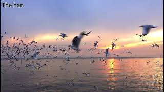 Though thousands of miles apart we are bound together by a single drum Tan Ying