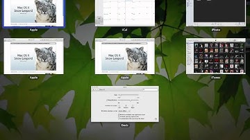 Mac OS X v10.6 "Snow Leopard"