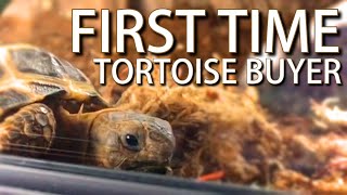 First time tortoise buyer