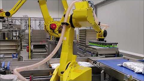 Robertpack ontladen rekken met een Fanuc robot