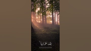 فانظر إلى آثار رحمة الله | تلاوة خاشعة بصوت ياسر الدوسري |سورة الروم