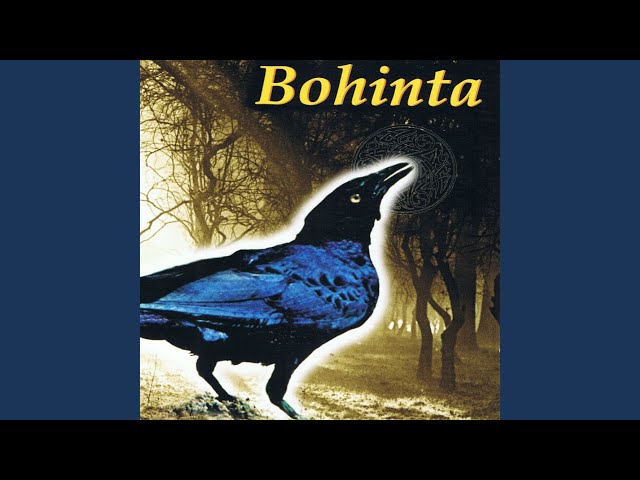 Bohinta - Gypsy