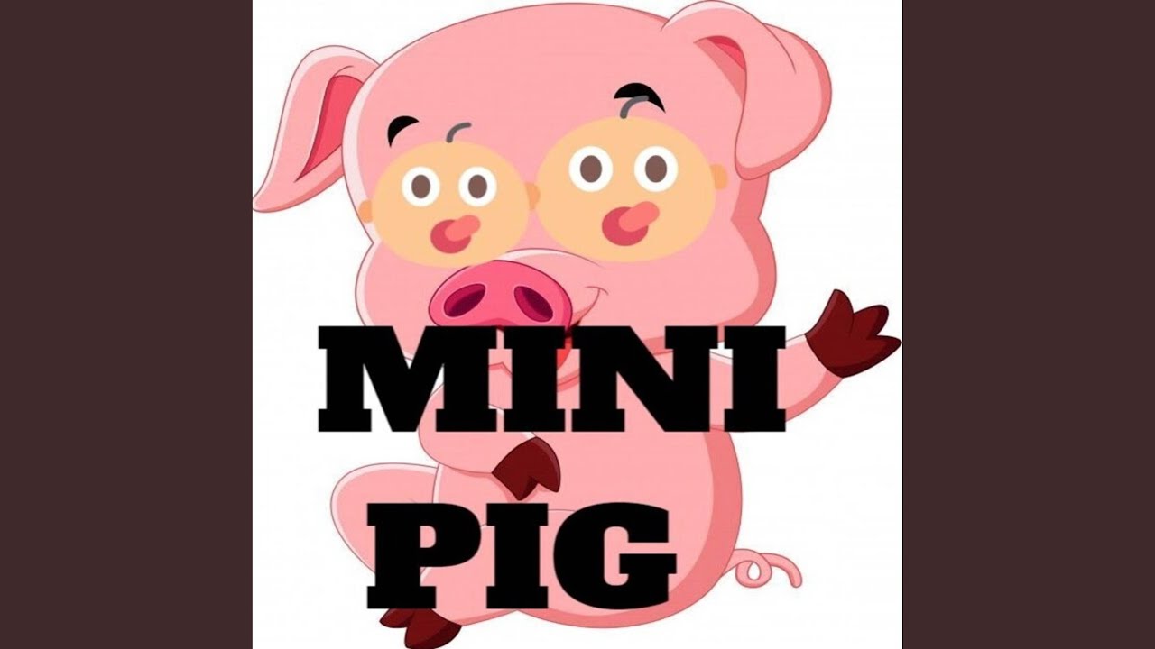 Watch Mini Pig on YouTube Watch Mini Pig on YouTube