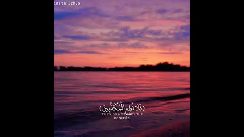 سورة القلم من الاية {٨} الى {١٤} بصوت سالم الرويلي