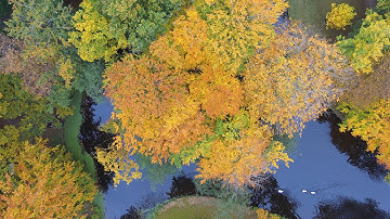 Fall colors: autumn foliage, as seen by a drone