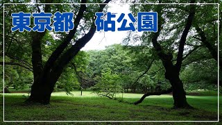 【東京都/5月】都立砧公園