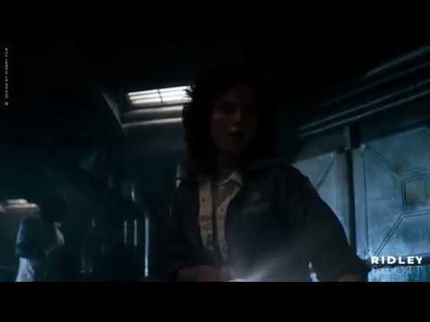 It's the cat from Alien 1979