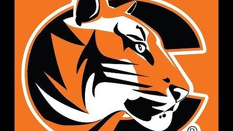 Screen Reader Example