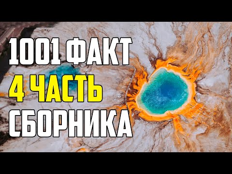 Видео: 1001 МАЛОИЗВЕСТНЫЙ ФАКТ ОБО ВСЕМ НА СВЕТЕ