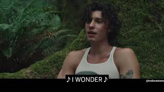 Shawn Mendes - Wonder (Lyrics) Letra video oficial.