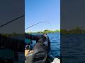 "Alright, we'll take 6's" - @joeycifuentesfishing