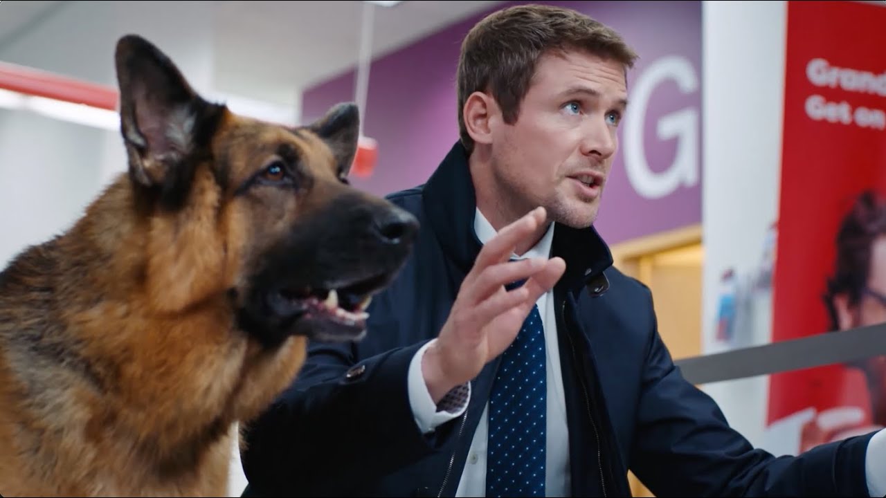 Хадсон и Рекс | Ограбление банка | 3 сезон