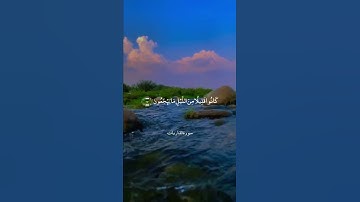 وَبِالْأَسْحَارِ هُمْ يَسْتَغْفِرُونَ || سورة الذاريات || علي جابر
