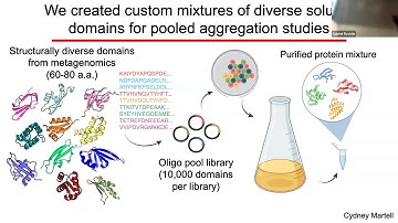 Predicting protein folding stability and aggregation propensity using large-scale experiments