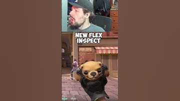 NEW TACTIBEAR FLEX INSPECT #valorant