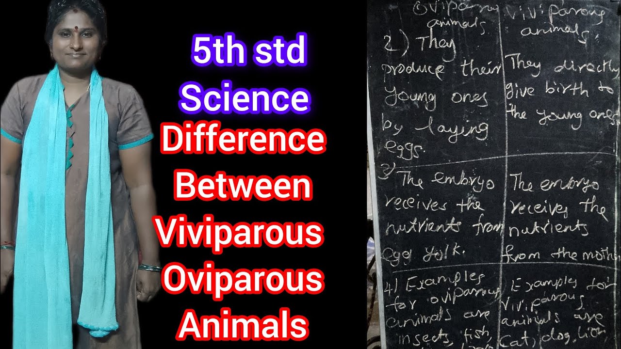 5th standard science, difference between oviparous and viviparous - YouTube