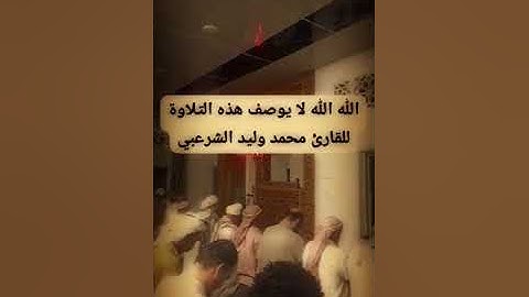 ماتيسر من سورة الجاثيه بصوت القارئ محمد وليد الشرعبي