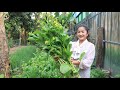 Have you ever cooked this spinach at home? / Harvesting spinach for cooking / Cooking with Sreypov