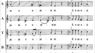 Mozart - KV 220 -3  Credo - Soprano