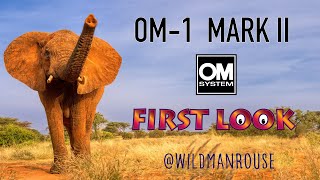 Pro wildlife photographer @wildmanrouse tests the new OM1 Mark II showing it's amazing AF