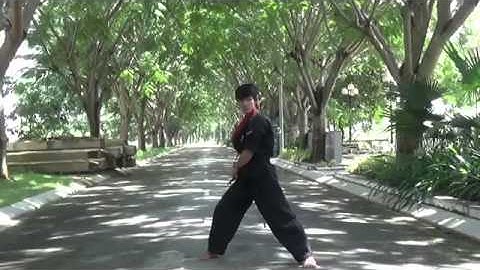 Break & Learn   Combo 3   Double nunchaku   Kỹ thuật đôi côn   Hướng dẫn tập luyện côn nhị khúc 1