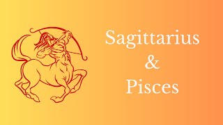 Learn Astrology 101 : Sagittarius and Pisces  Your Bhagya and Karma in the Chart