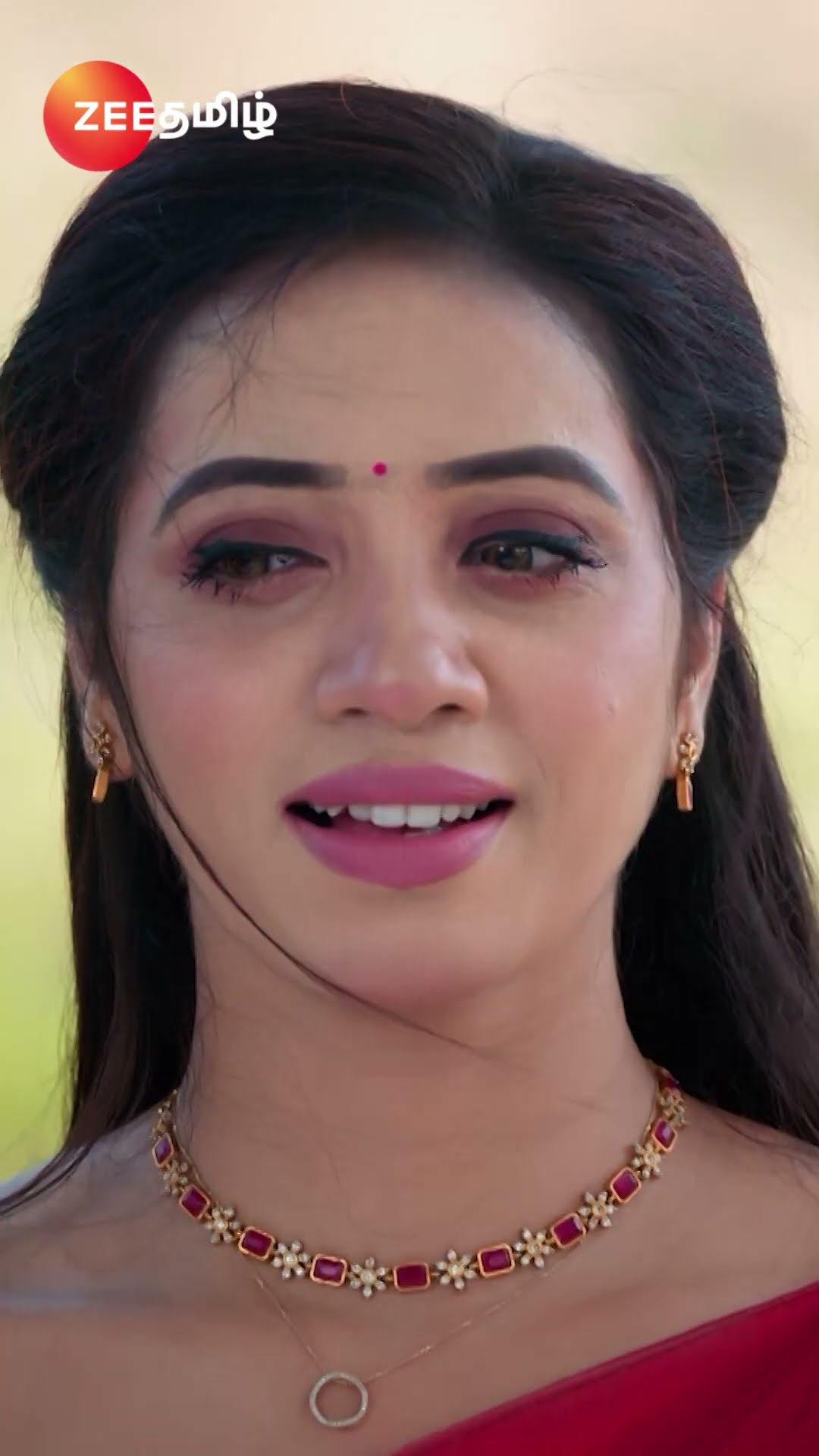 Karthigai Deepam (கார்த்திகை தீபம்) | EPI-735 | Mon-Sat, 9 PM | Zee Tamil #shorts #ytshorts