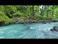 Water Flowing in a Mountain Forest 24/7. Riverl Sounds, Flowing Water. White Noise for Sleep.