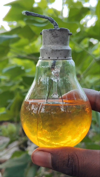 We made petrol Bomb || 💣💀⚠️ || #shorts  #shortvideo #experiment