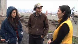 Hanging With NYC's Most Sustainable At Rooftop Garden