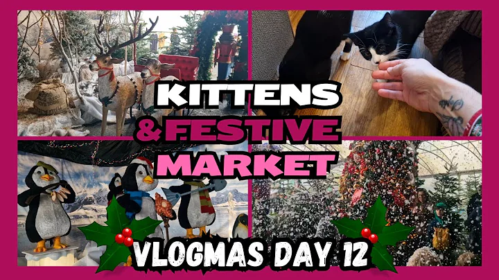 Vlogmas Day 12: Festive DITL | Christmas Market & Kittens #vlogmas #christmas2025