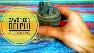 EGR Valve PIERBURG Delphi Construction of Inner - Step by Step PL