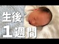 【新生児】生後１週間赤ちゃんと産後ママの１日密着