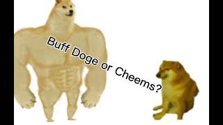 Buff doge vs cheems! Who is going to win?