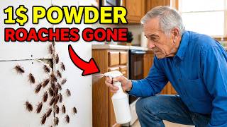 $2 White Powder KILLS ALL Roaches OVERNIGHT FOREVER