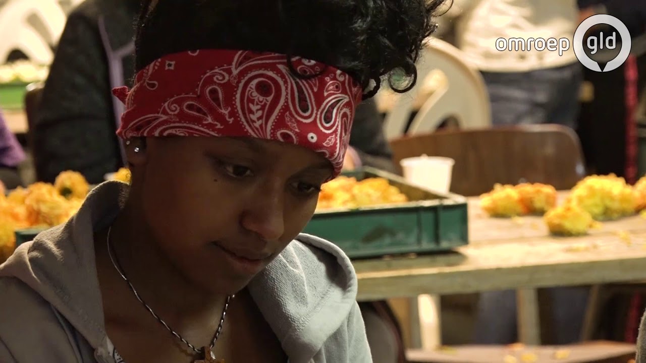 Nieuwe Nederlanders helpen mee met het bloemencorso Lichtenvoorde