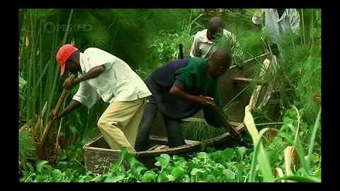 Strange Days On Planet Earth (VARIOUS SEGMENTS) Ep 1 & 2