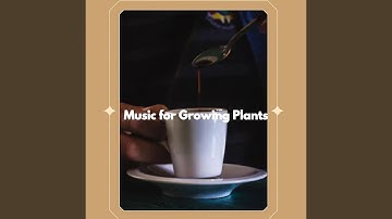 Pulsating Ambience for Chill Harmony