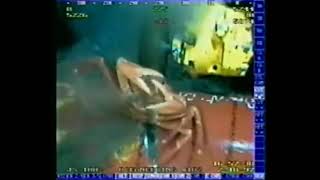 Holy Crap ! A crab getting sucked into a underwater pipeline -Epic Youtube Videos