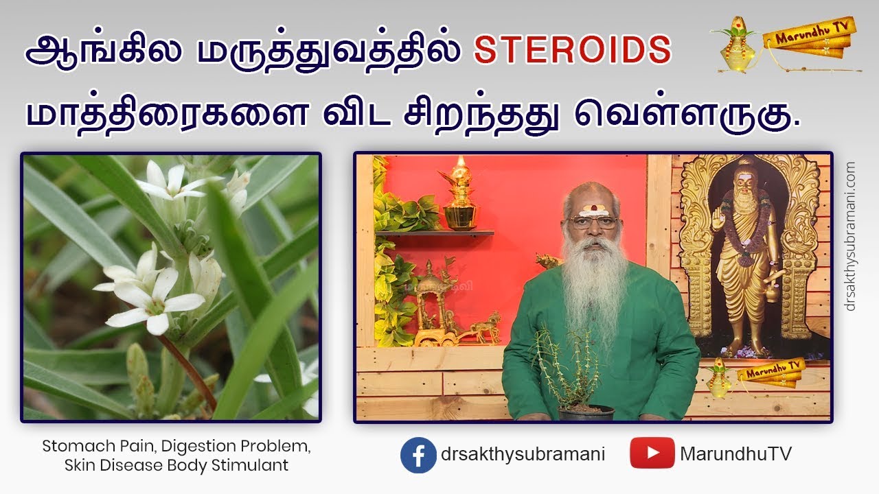 ஆங்கில மருத்துவத்தில் steroids மாத்திரைகளை விட சிறந்தது வெள்ளருகு | Benefits of Enicostema axillare