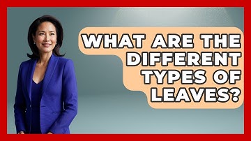 What Are The Different Types Of Leaves? - Exploring Campgrounds