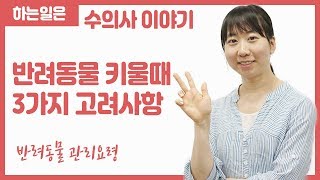 수의사가 권장하는 반려동물 관리요령