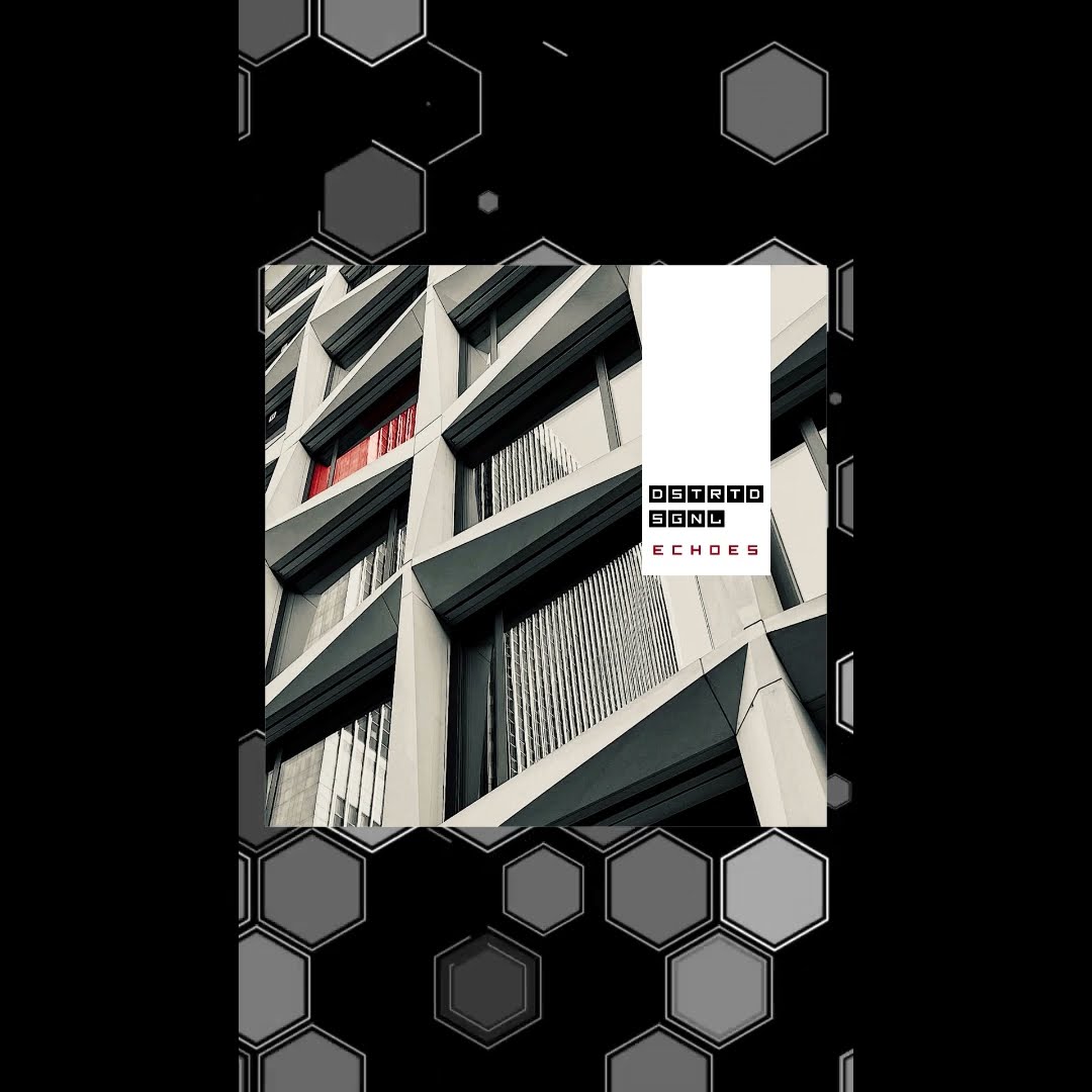 ? New Single Alert from DSTRTD SGNL! ? Echoes  is here and about to shake the Melodic Techno scene
