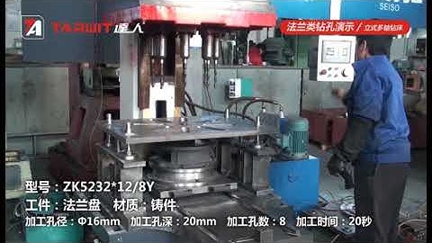 TARWIT Vertical Multiple Spindle Drilling Machine ZK5232X12-8Y Drills Cast Iron Workpiece