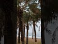 Malaga beach early morning #beach #malaga #shorts