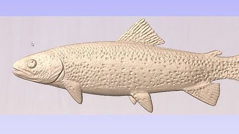 Vectric V10 Tutorials | 3D Modeling | Trout